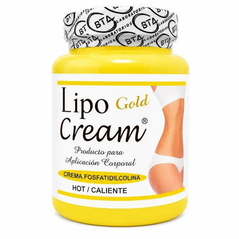CREMA FOSFATIDICOLINA LIPO CREAM 500G. X 01 UND. - BTA